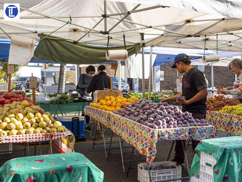 Savor Local Flavors at the Downtown Farmers_ Market